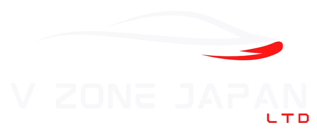v zone japan logo
